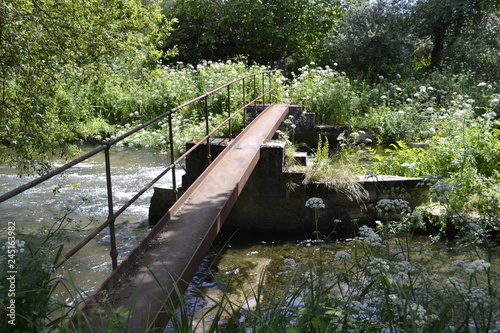 bridge