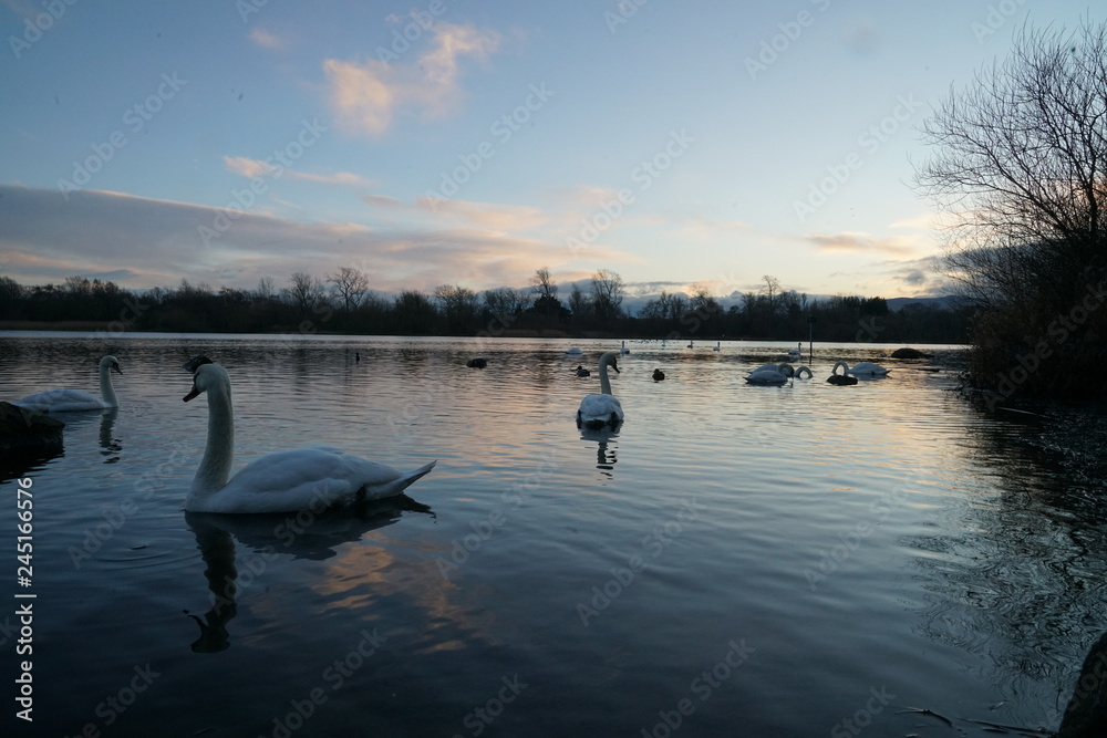 duddingstone loch edinburgh duddingstone loch edinburgh
