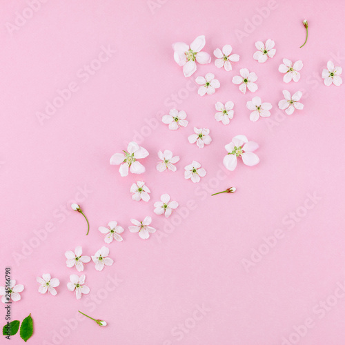 White spring cherry tree blooming flowers pattern