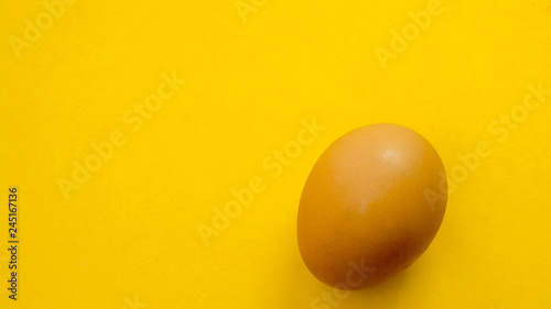 egg close up on yellow background