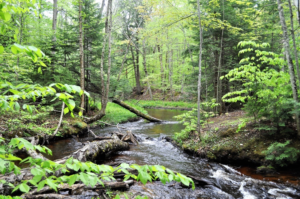 Fototapeta premium Chapel Falls 9