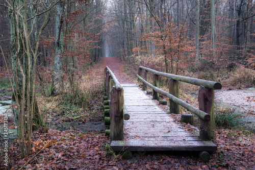 Obraz na płótnie Wooden bridge at autumn in Kabacki forest, Masovia, Poland w salonie