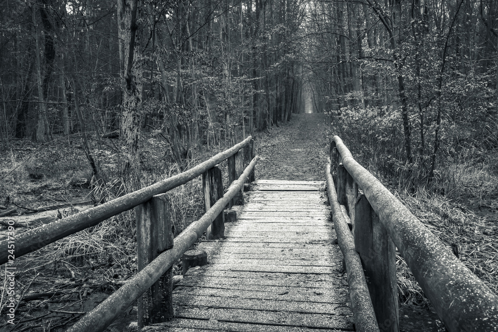 Wooden bridge in Kabacki forest, Masovia, Poland Wooden bridge in Kabacki forest, Masovia, Poland
