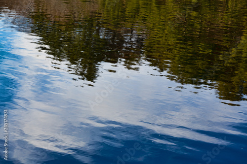 Reflection of forest and blue sky on a pond © Bert Folsom