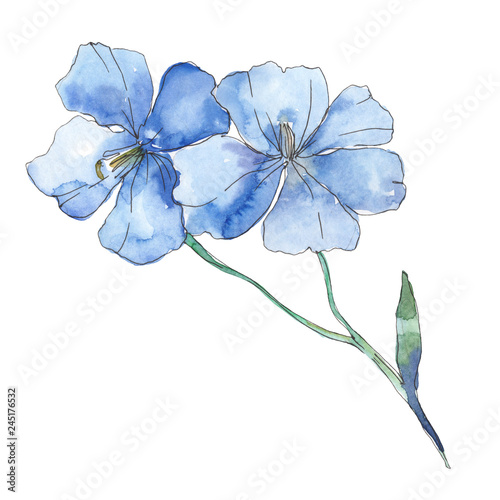Blue purple flax. Floral botanical flower. Watercolor background illustration set. Isolated flax illustration element.
