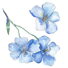 Blue purple flax. Floral botanical flower. Watercolor background illustration set. Isolated flax illustration element.