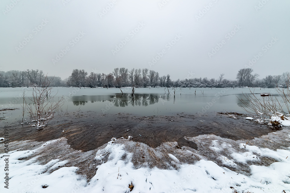 Naklejka premium Danube island (Šodroš) near Novi Sad, Serbia. Colorful landscape with snowy trees, beautiful frozen river.