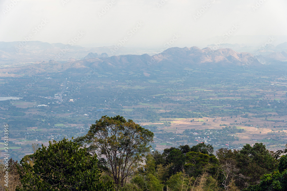 Green tree line with mountain range and agricultural plain background