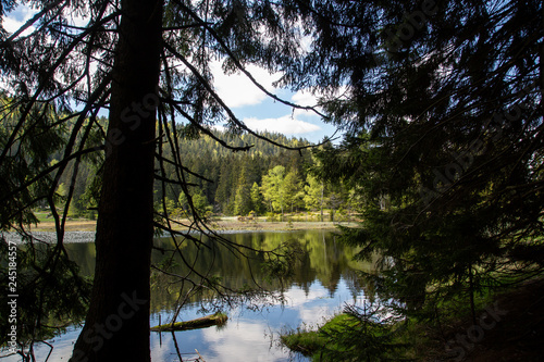 Landscape at the small Arbersee in Bavaria