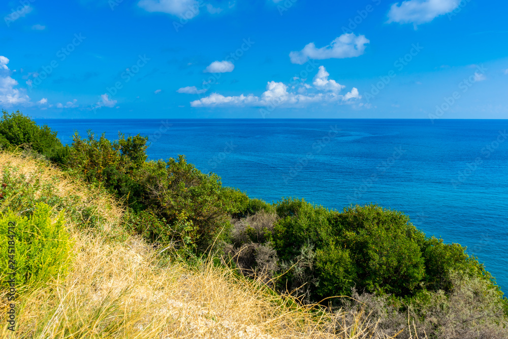 Greece, Zakynthos, Amazing endless blue ocean water horizon behind green plants
