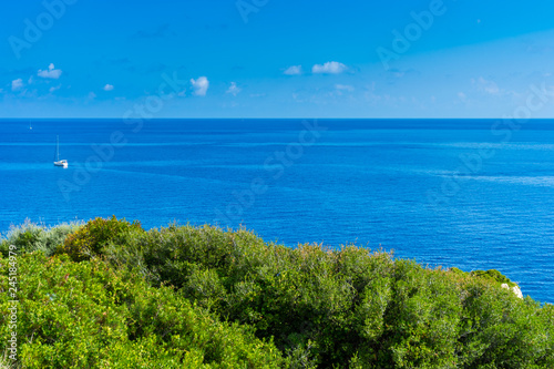 Greece, Zakynthos, Endless blue ocean behind green plants at coast