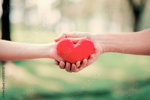 Quadro em tela Close up hands give and hold red heart