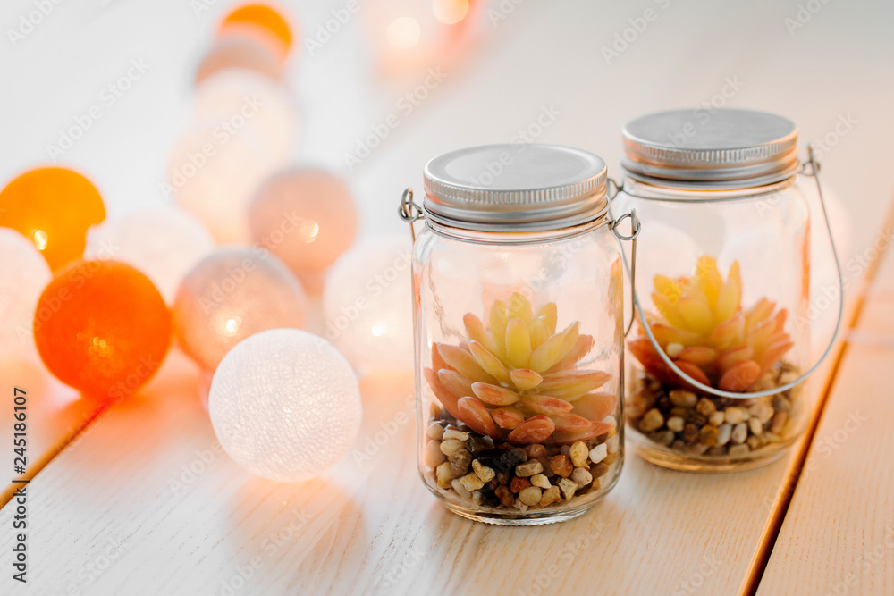 Succulents in glass jar on wooden table background. Scandinavian home decoration Succulents in glass jar on wooden table background. Scandinavian home decoration