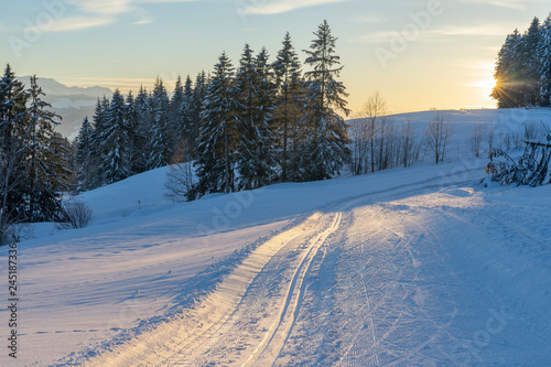 cross country skking track at sunset in the Bregenzer wald area of Vorarlberg, Austria