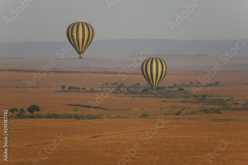 air balloon above savanna