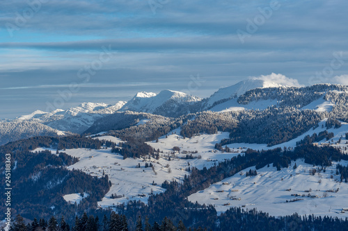 cold winter landscape in evening light in the Allgaeu Alps near Oberstaufen, Bavaria, Germany