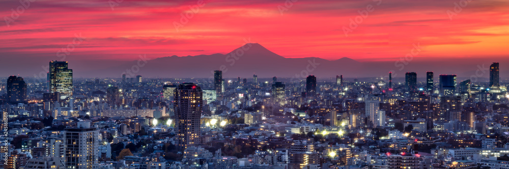 Tokyo Panorama bei Sonnenuntergang - obrazy, fototapety, plakaty 