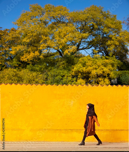 yellow wall in Copenhagen