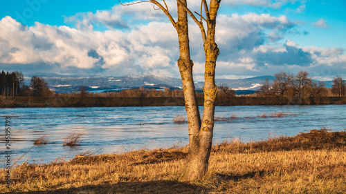 Beautiful winter view near Osterhofen-Danube-Bavaria-Germany photo