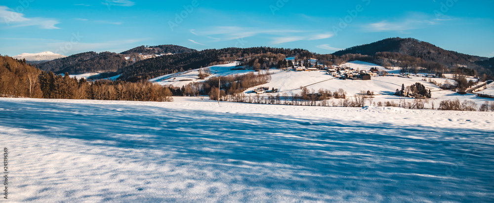 Beautiful winter view near Schoenberg-Bavarian Forest-Bavaria-Germany
