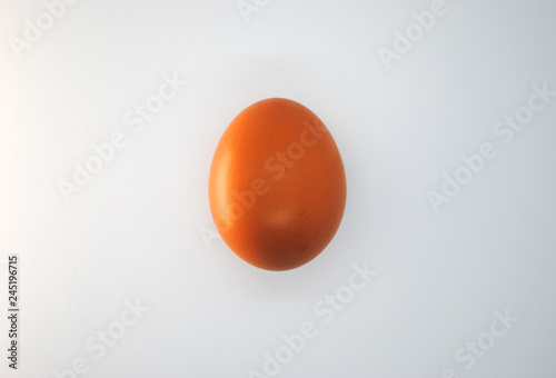 The brown egg on the white background