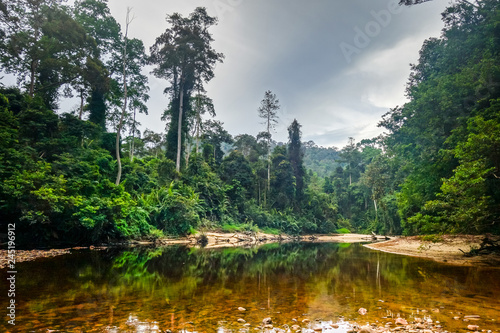 River in Jungle rainforest Taman Negara national park, Malaysia photo