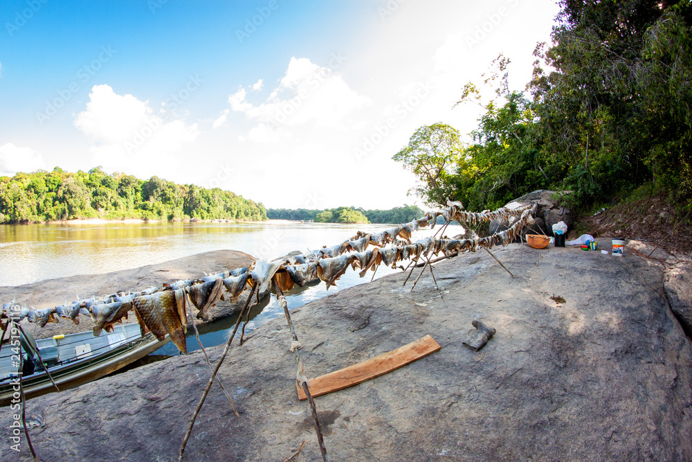 Obraz premium Stockfisch, Trockenfisch oder getrockneter Fisch aus dem Amazonas von Einheimischen Fischern