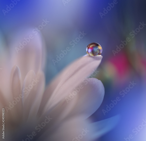 Fototapeta Naklejka Na Ścianę i Meble -  Beautiful spring nature blossom web banner or header. Blurred space for your text.Colorful Artistic Blue Background.Conceptual abstract image.Beautiful nature with white flowers.Floral Fantasy Design.