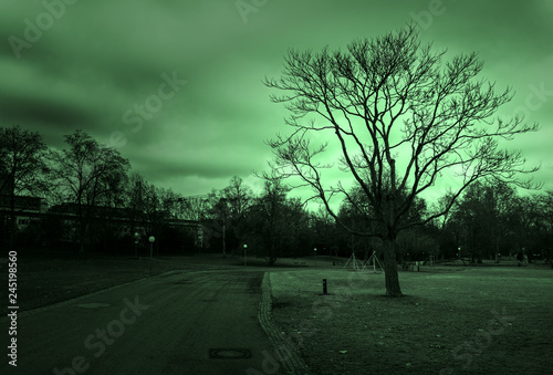 A shady winter afternoon in a park