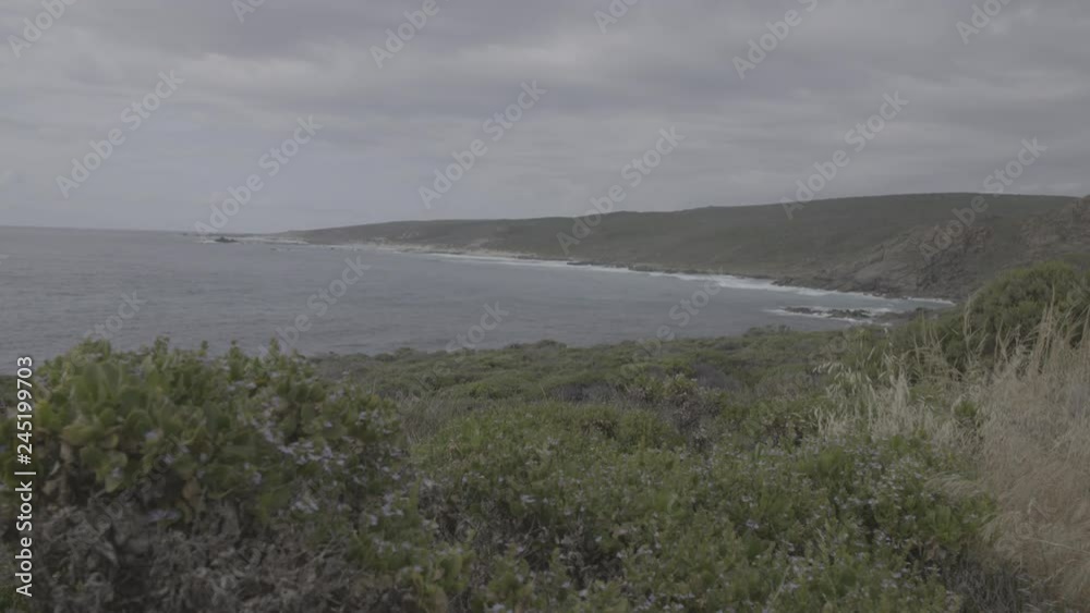 Australian Coastal Headland Surrounded By Bush and Ocean Australian Coastal Headland Surrounded By Bush and Ocean