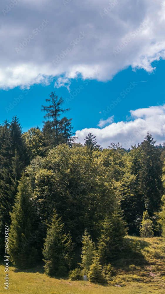 Smartphone HD wallpaper of beautiful alpine view at Steinberg near the Achensee - Tyrol - Austria