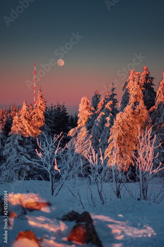 Colorful sunset mountain panorama view in the winter season with snow and full moon rising over the mountain tops with blue sky. Harz Mountains National Park in Germany