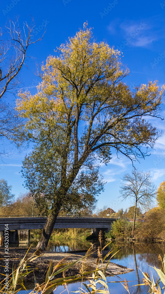 Smartphone HD wallpaper of beautiful autumn view at the Vils near Walchsing - Bavaria - Germany