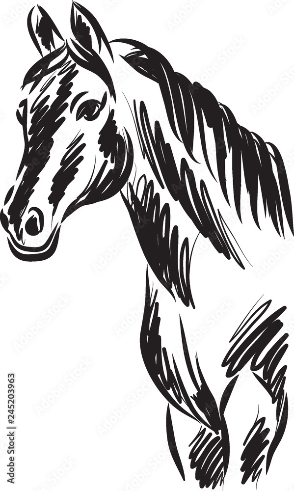 horse vector drawing illustration horse vector drawing illustration