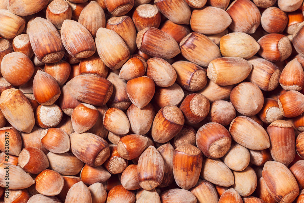 background - wild hazelnuts of different sizes background - wild hazelnuts of different sizes