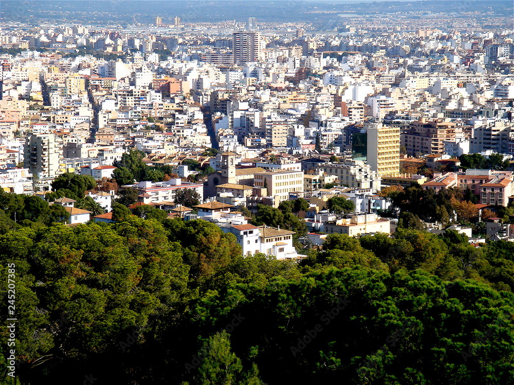 Obraz premium Palma de Mallorca