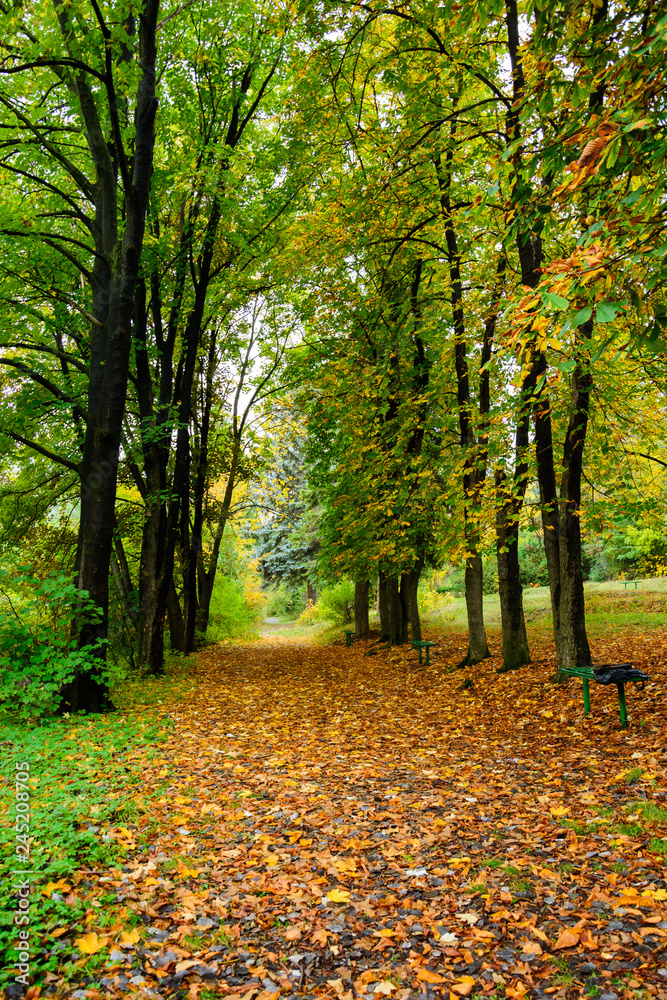 Amazing autumn scene Amazing autumn scene