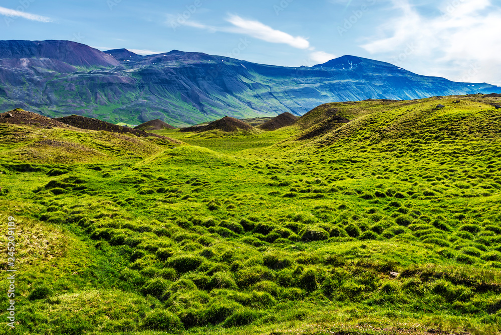 Humpy grasslands in north of Hunavatnshreppur municipality of Northern Iceland.