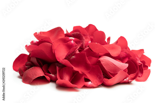 Fototapeta Naklejka Na Ścianę i Meble -  Heap of red rose petals isolated on white