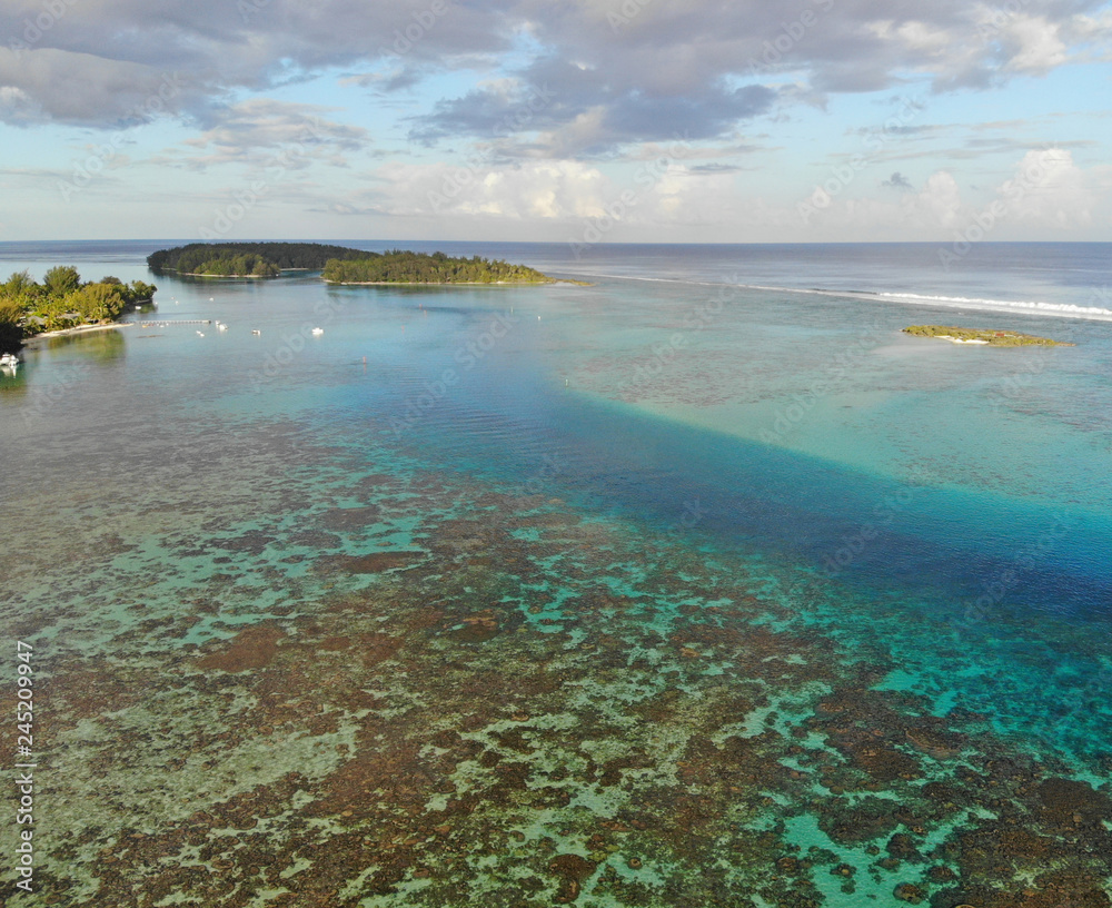 Obraz premium Aerial view of shades of blue and coral reefs over the Moorea lagoon in French Polynesia, South Pacific