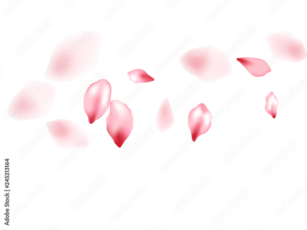 Obraz premium Pink sakura flower flying petals isolated on white vector background.