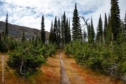Hiking trail in Montana