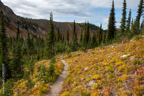 Hiking trail in Montana photo