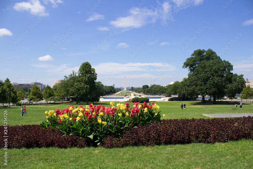 Fototapeta premium National Mall from Capitol Building