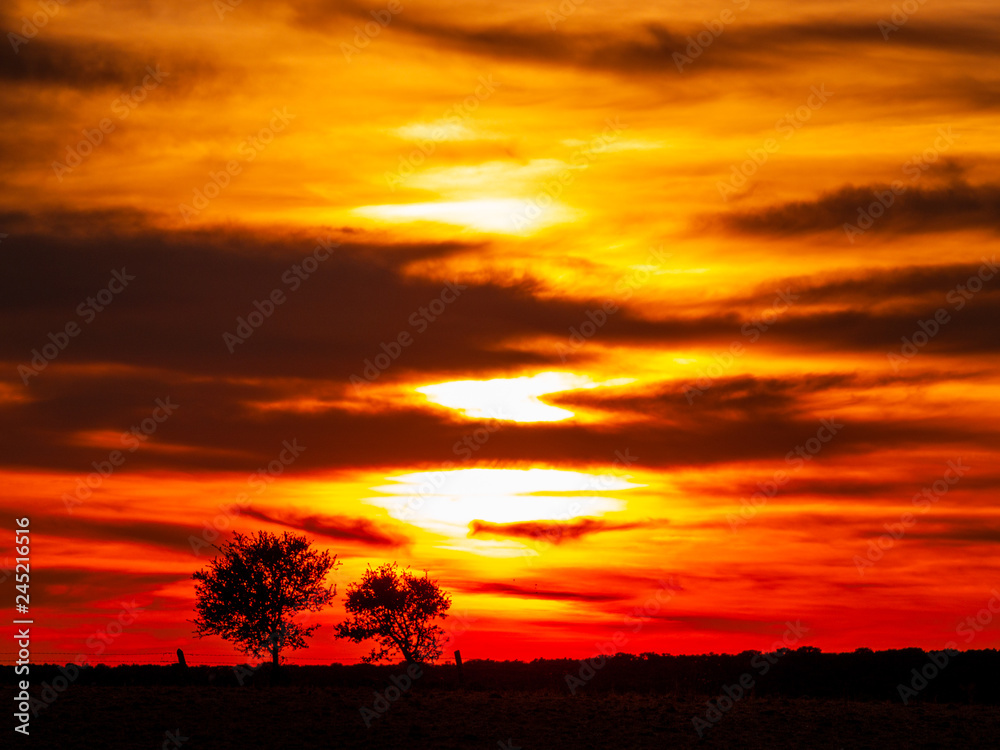 Romantic orange sky at the sunset in a cloudy day in the dehesa and tree silhouette
