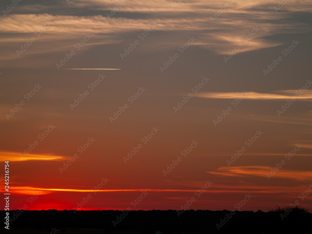 Romantic orange sky at the sunset with few clouds and chemtrails in the dehesa and tree silhouette