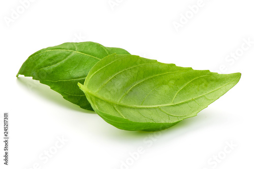 Sweet basil leaves, close up, isolated on white background