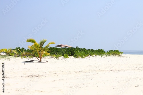 Desert island in Maldives with a little palm tree and two beach umbrellas  Ari Atoll 