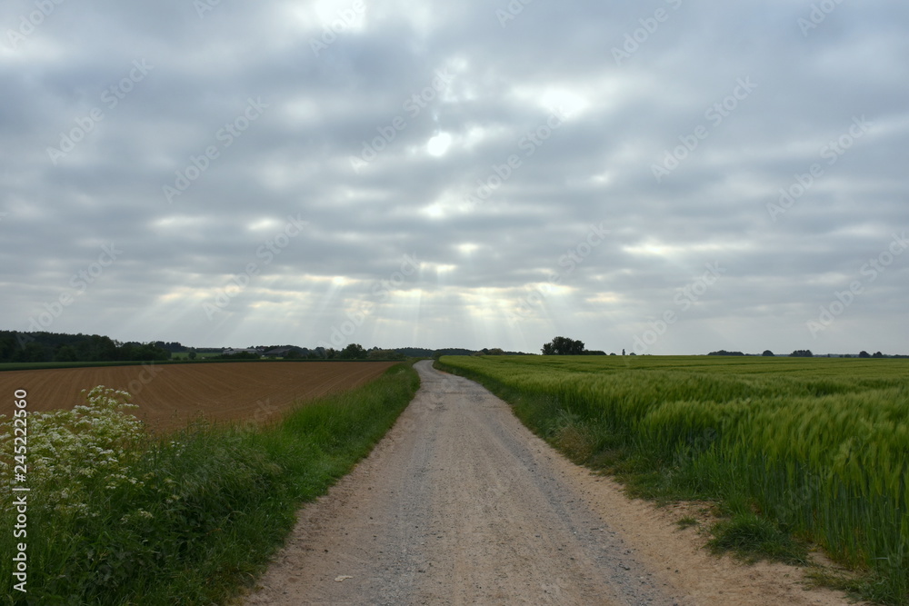 Country road in Huldenberg, Belgium, Brabant