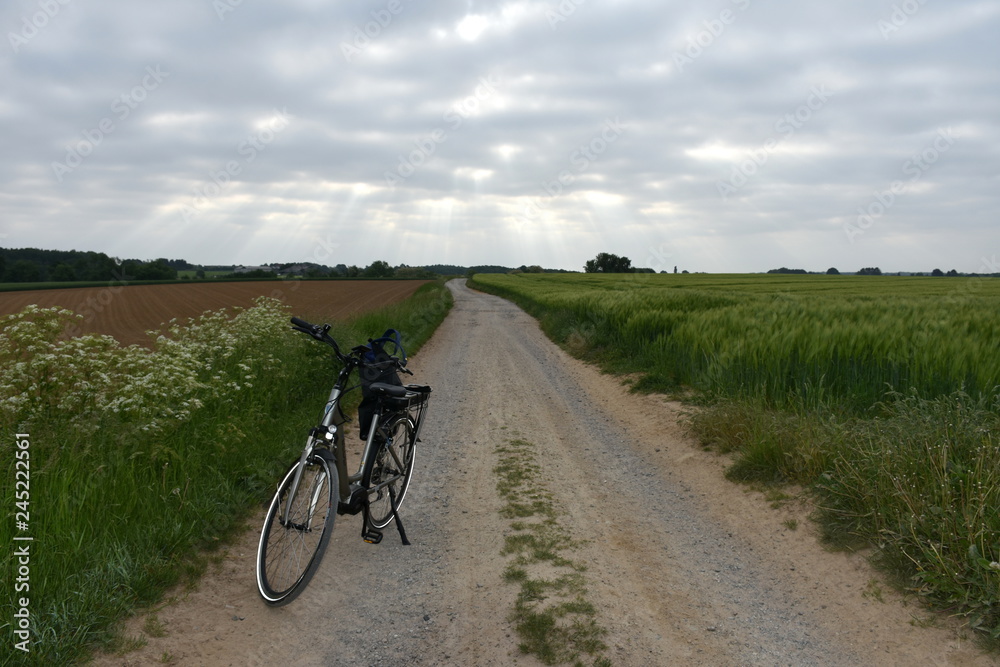 Fototapeta premium Bicycle on country road in Huldenberg, Belgium.